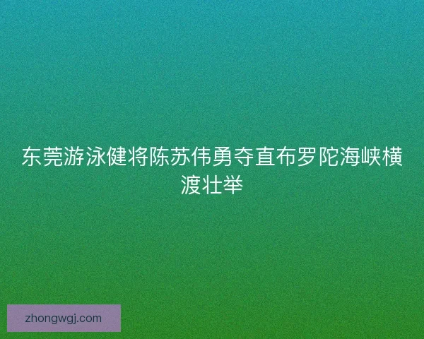 东莞游泳健将陈苏伟勇夺直布罗陀海峡横渡壮举
